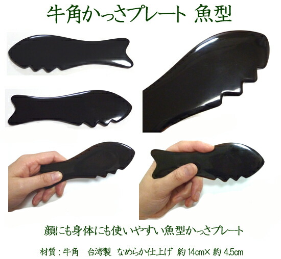楽天市場】牛角かっさプレート魚型 【かっさの方法小冊子プレゼント中