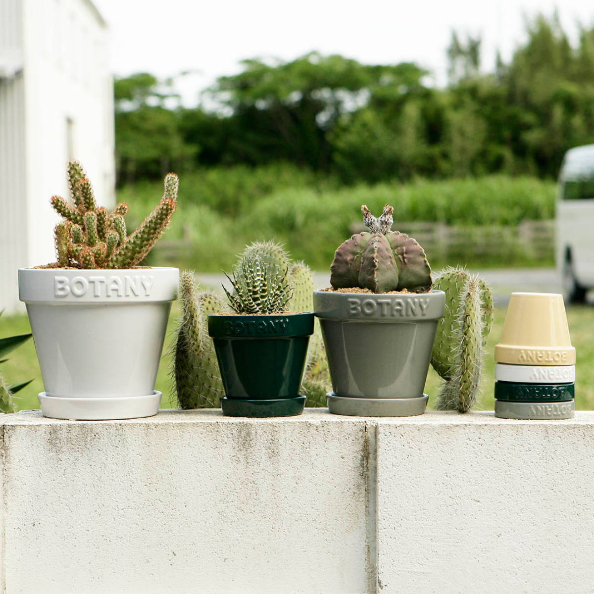 楽天市場】ダルトン 植木鉢 ボタニーポット 3号鉢 ガーデンポット