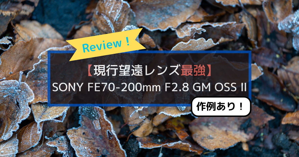現レンズ最強の望遠レンズ】FE70-200mm F2.8 GM OSS Ⅱレビュー