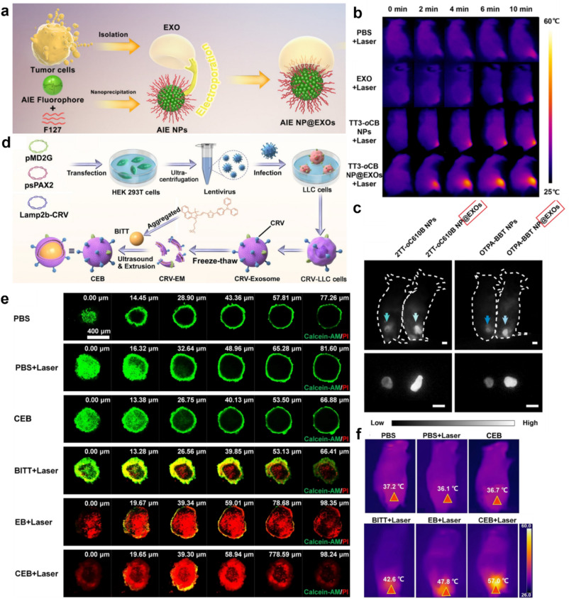 Top-down bioinspired nanotheranostics with AIE luminogens