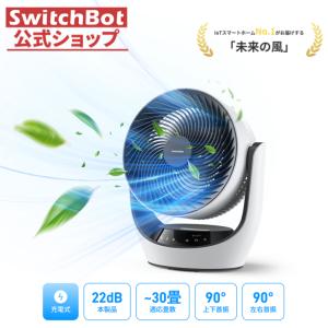 リンナイ（Rinnai） SRC-364E-LP ガスファンヒーター プロパンガス用