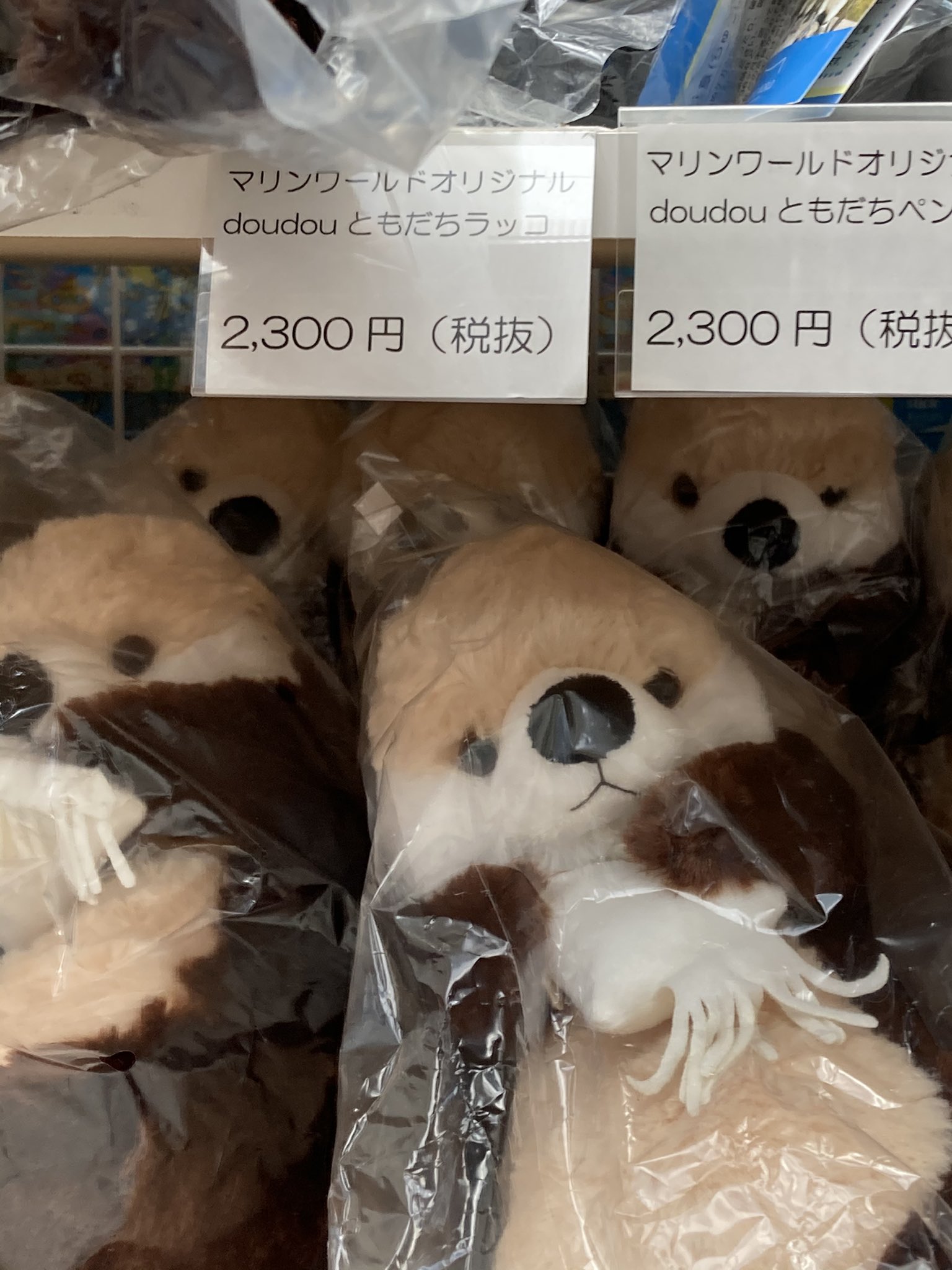 マリンワールド doudouともだちラッコ 1点 マリンワールド doudou